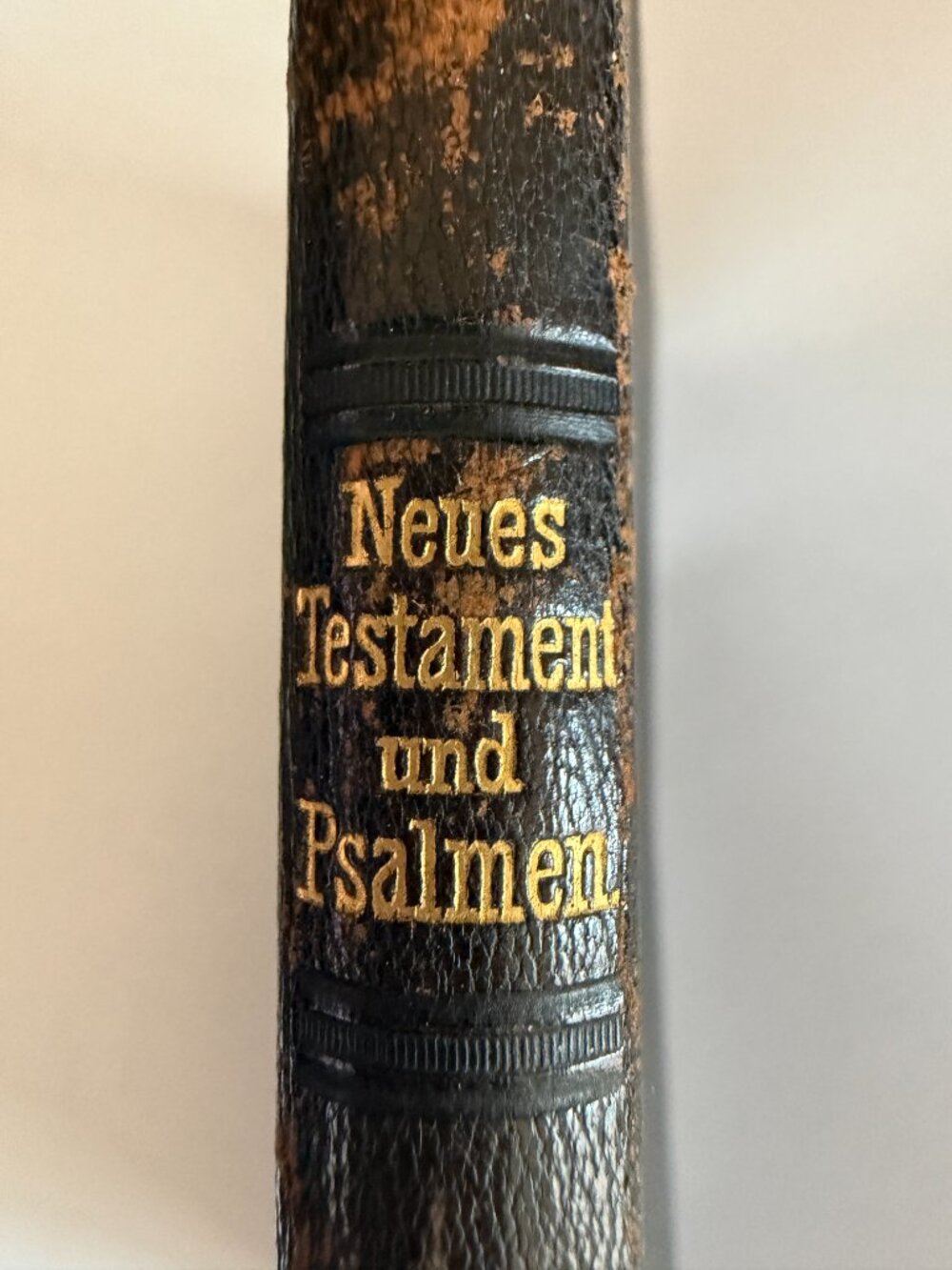 Martin Luther’s German New Testament Bible & Psalms 1910  Vintage